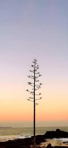 极简风壁纸天花板：99%用户秒存的高清留白美学